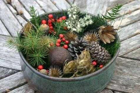 Winter Essence